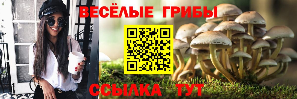 Галлюциногенные грибы прущие грибы Россия