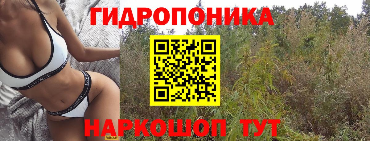 Бошки Шишки план Россия
